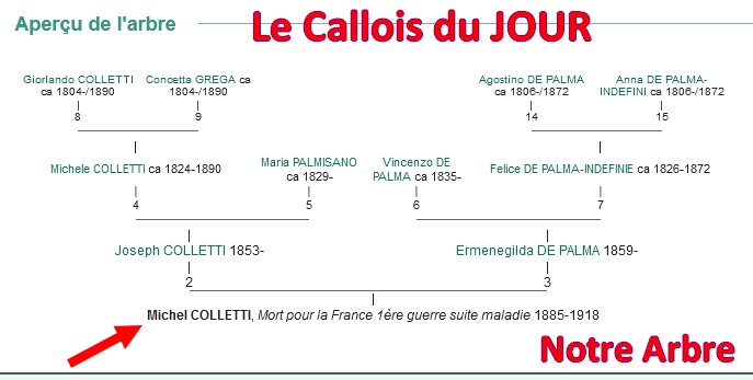 08 NOTRE ARBRE : Callois et Calloises mis à l'honneur en AOUT 3_cdj-53