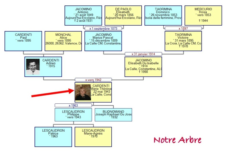 05 NOTRE ARBRE : Naissances en MAI Carden13