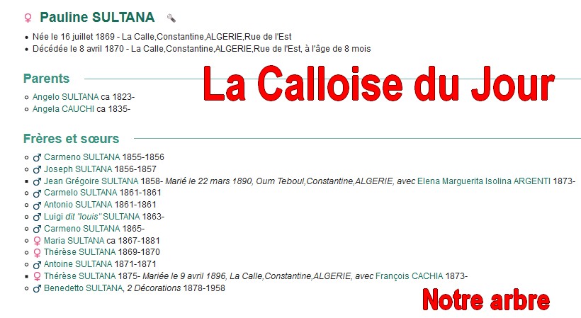 08 NOTRE ARBRE : Callois et Calloises mis à l'honneur en AOUT Cdj-0821