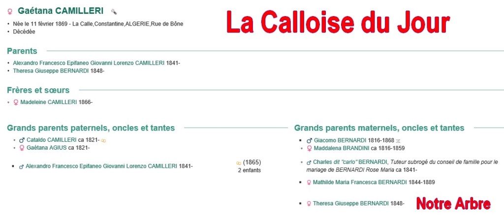08 NOTRE ARBRE : Callois et Calloises mis à l'honneur en AOUT Cdj-0830