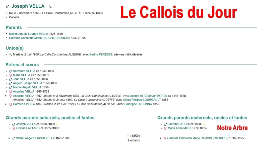 08 NOTRE ARBRE : Callois et Calloises mis à l'honneur en AOUT Cdj-0832