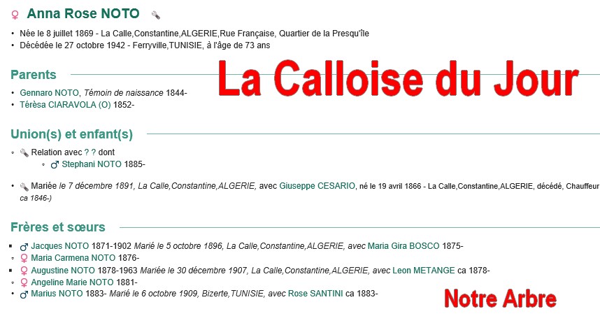 08 NOTRE ARBRE : Callois et Calloises mis à l'honneur en AOUT Cdj-0833