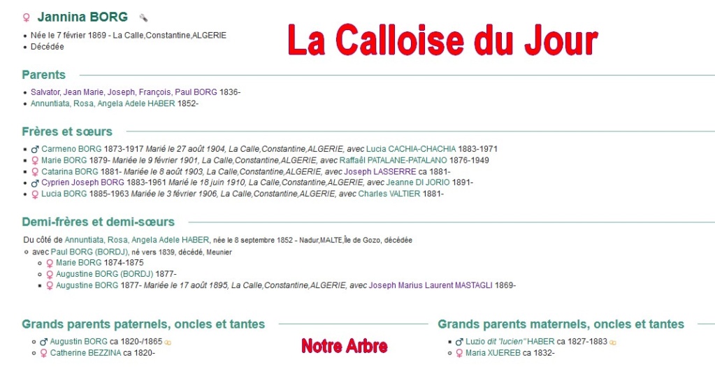 08 NOTRE ARBRE : Callois et Calloises mis à l'honneur en AOUT Cdj-0834