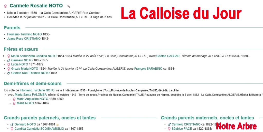 08 NOTRE ARBRE : Callois et Calloises mis à l'honneur en AOUT Cdj-0835