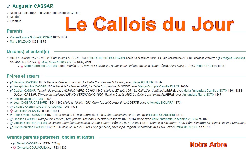 12 NOTRE ARBRE : Callois et Calloises mis à l'honneur en DECEMBRE - Page 2 Cdj-d100