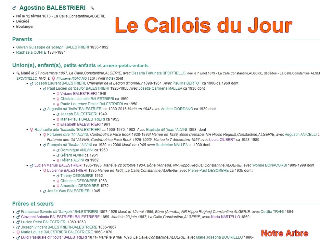 12 NOTRE ARBRE : Callois et Calloises mis à l'honneur en DECEMBRE - Page 2 Cdj-d102