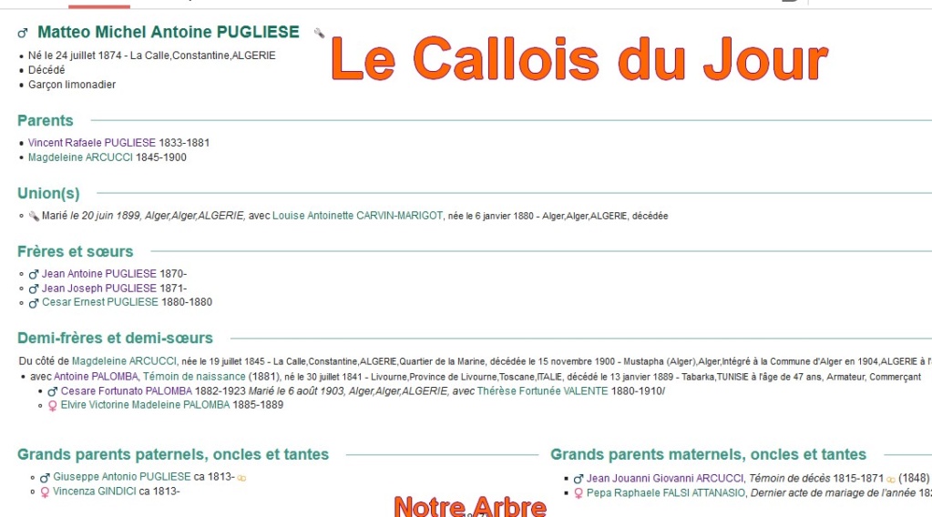 01 NOTRE ARBRE : Callois et Calloises mis à l'honneur en JANVIER - Page 2 Cdj-d112