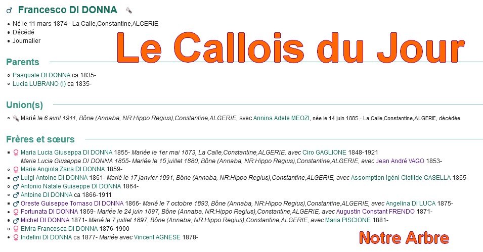 01 NOTRE ARBRE : Callois et Calloises mis à l'honneur en JANVIER - Page 2 Cdj-d121