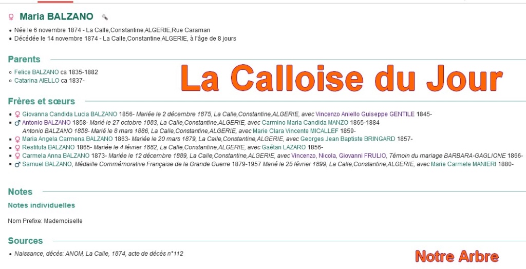 01 NOTRE ARBRE : Callois et Calloises mis à l'honneur en JANVIER - Page 2 Cdj-d123