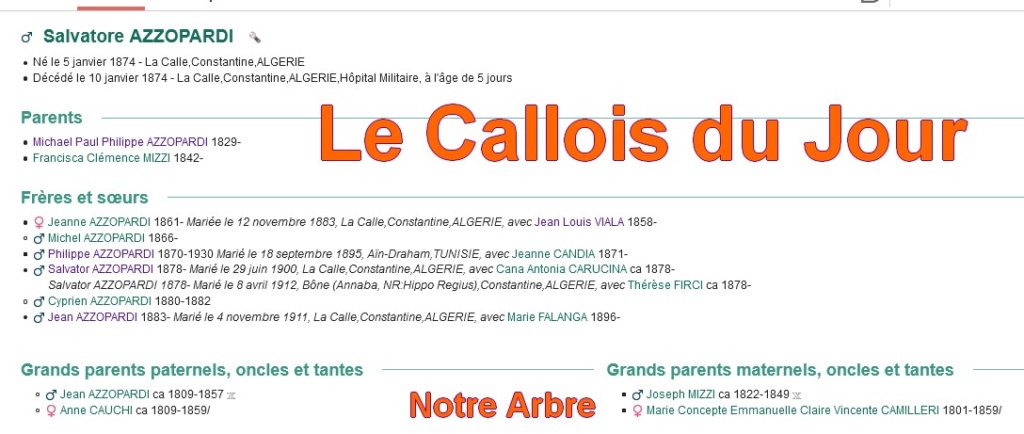 01 NOTRE ARBRE : Callois et Calloises mis à l'honneur en JANVIER - Page 2 Cdj-d124