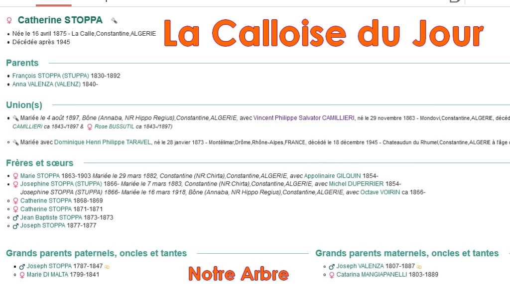 02 NOTRE ARBRE : Callois et Calloises mis à l'honneur en FEVRIER Cdj-d142