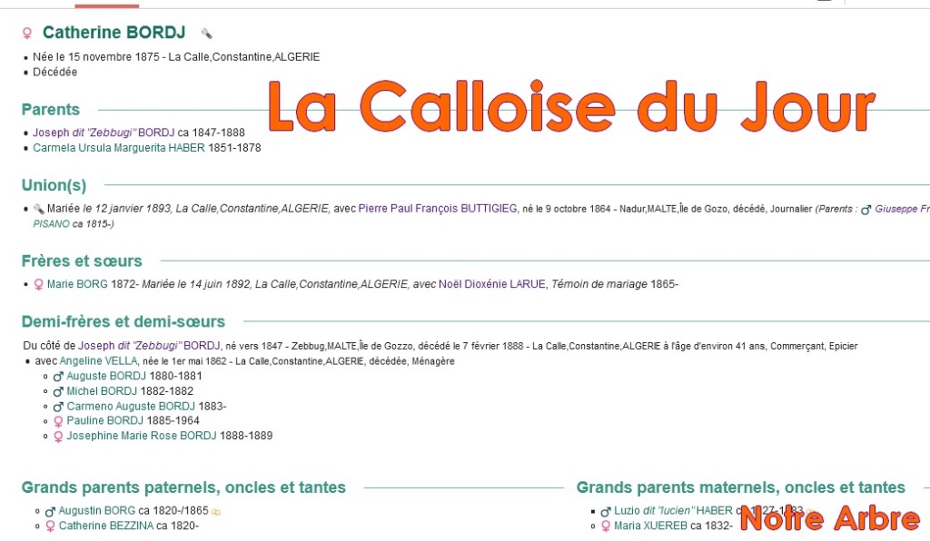 02 NOTRE ARBRE : Callois et Calloises mis à l'honneur en FEVRIER Cdj-d143
