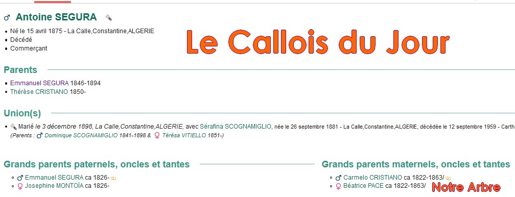 02 NOTRE ARBRE : Callois et Calloises mis à l'honneur en FEVRIER Cdj-d144