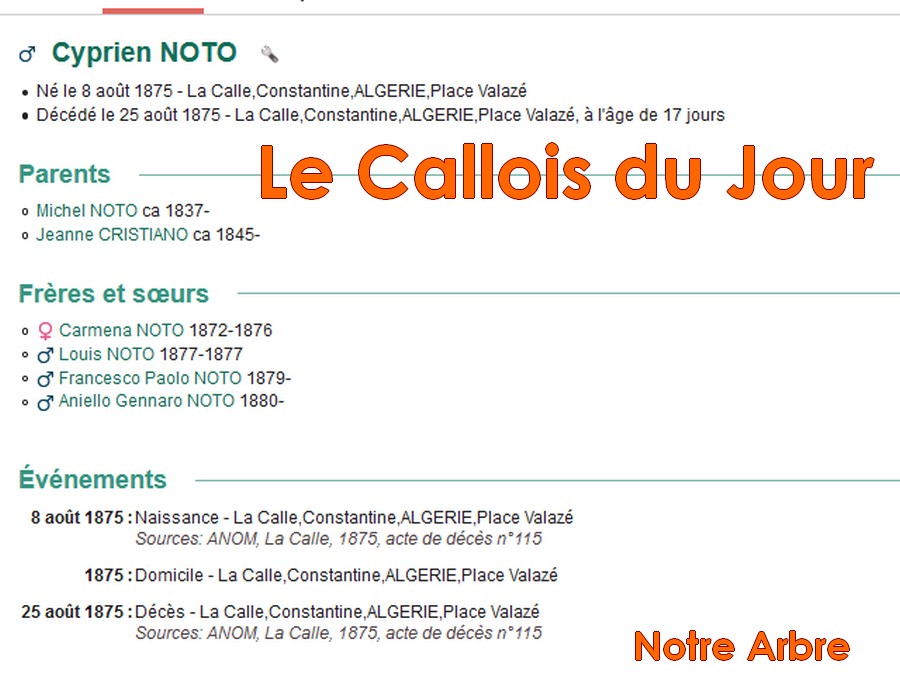 02 NOTRE ARBRE : Callois et Calloises mis à l'honneur en FEVRIER Cdj-d148
