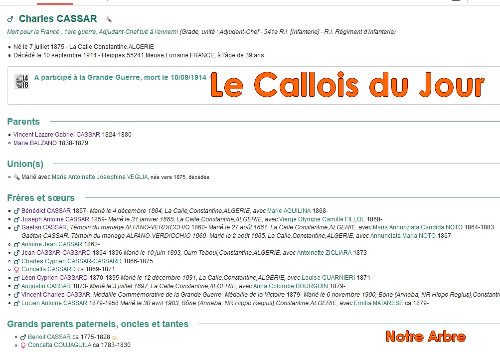 02 NOTRE ARBRE : Callois et Calloises mis à l'honneur en FEVRIER Cdj-d151