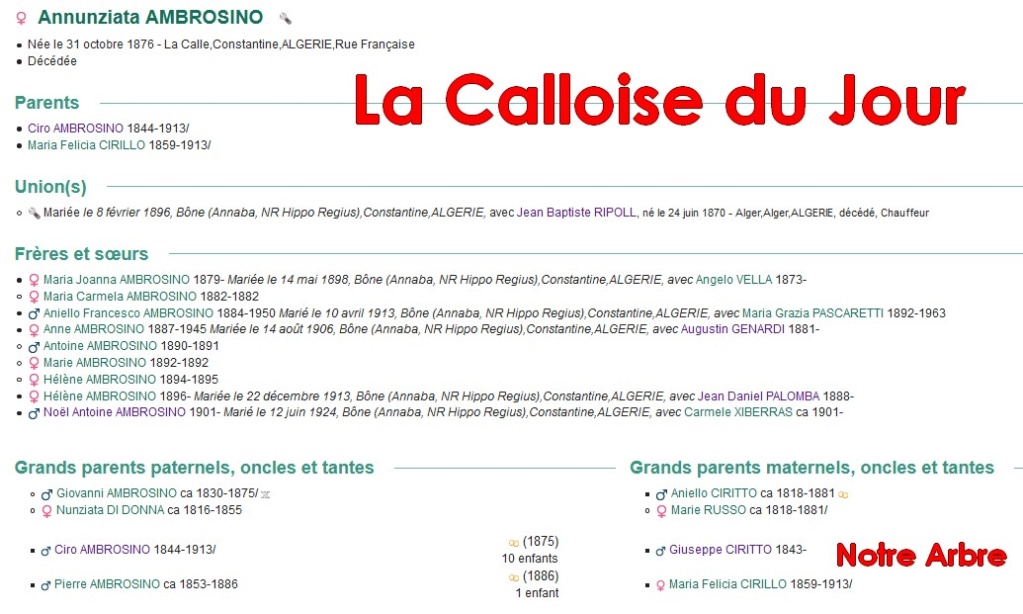03 NOTRE ARBRE : Callois et Calloises mis à l'honneur en MARS - Page 2 Cdj-d158