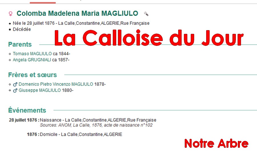 03 NOTRE ARBRE : Callois et Calloises mis à l'honneur en MARS - Page 2 Cdj-d163