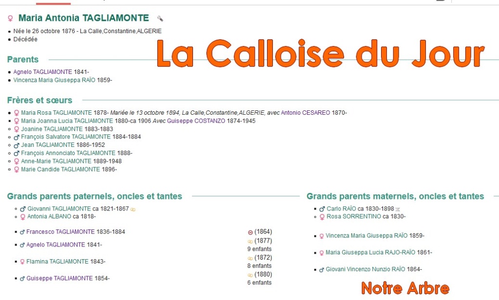 02 NOTRE ARBRE : Callois et Calloises mis à l'honneur en FEVRIER Cdj-d169