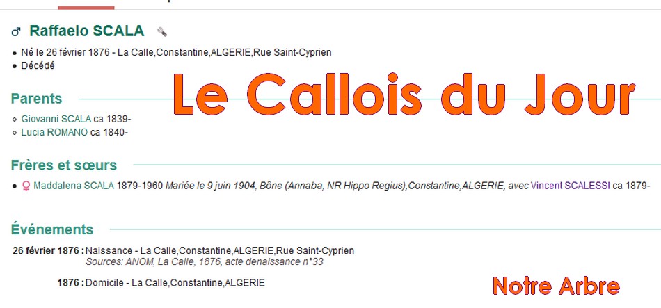 03 NOTRE ARBRE : Callois et Calloises mis à l'honneur en MARS Cdj-d171