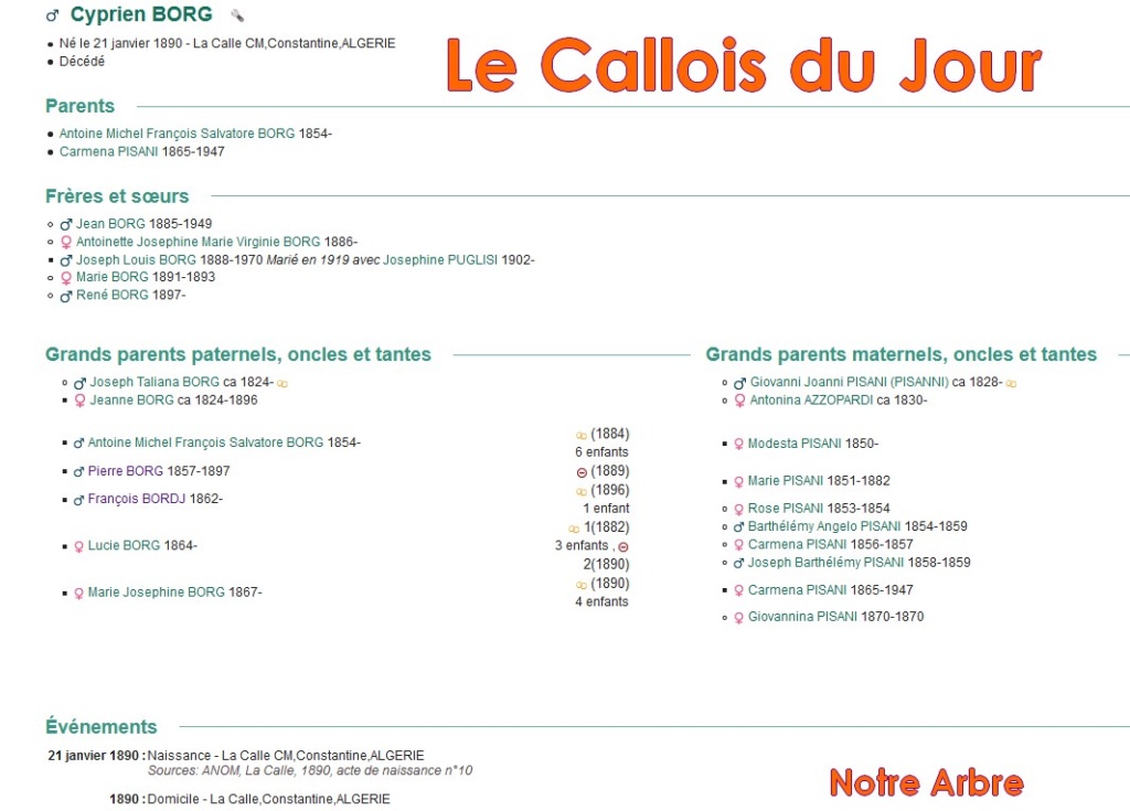 03 NOTRE ARBRE : Callois et Calloises mis à l'honneur en MARS Cdj-d175