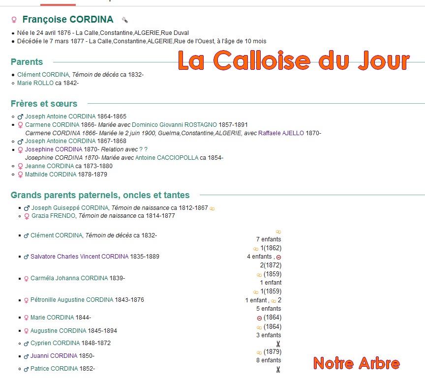 03 NOTRE ARBRE : Callois et Calloises mis à l'honneur en MARS Cdj-d177
