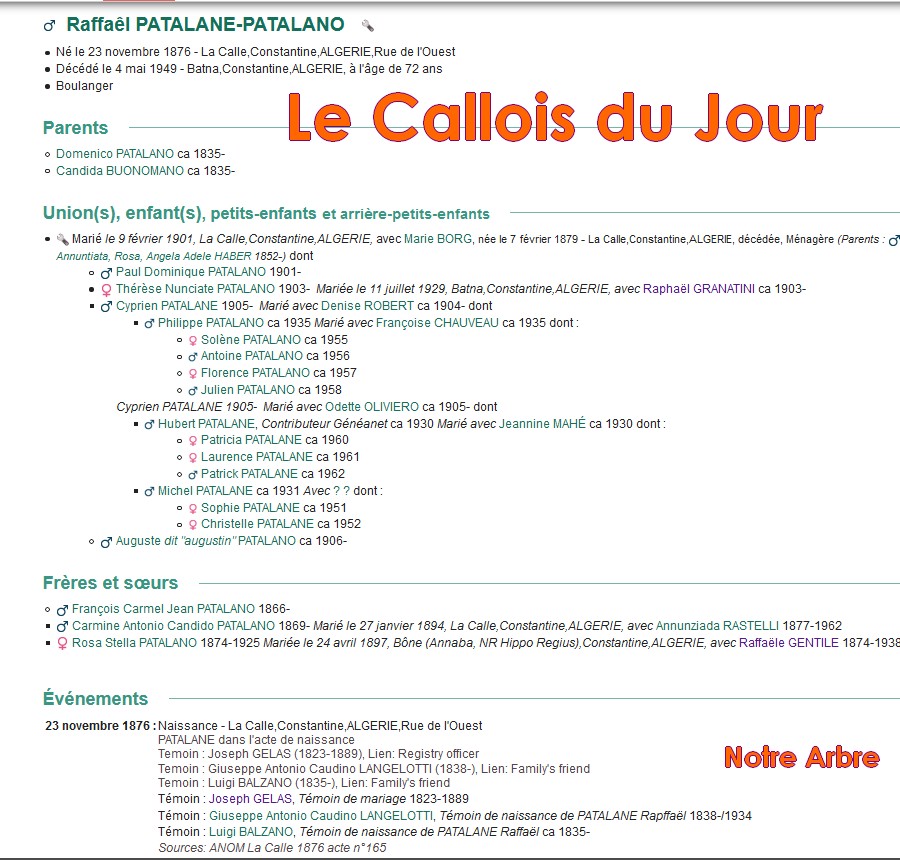 03 NOTRE ARBRE : Callois et Calloises mis à l'honneur en MARS Cdj-d178