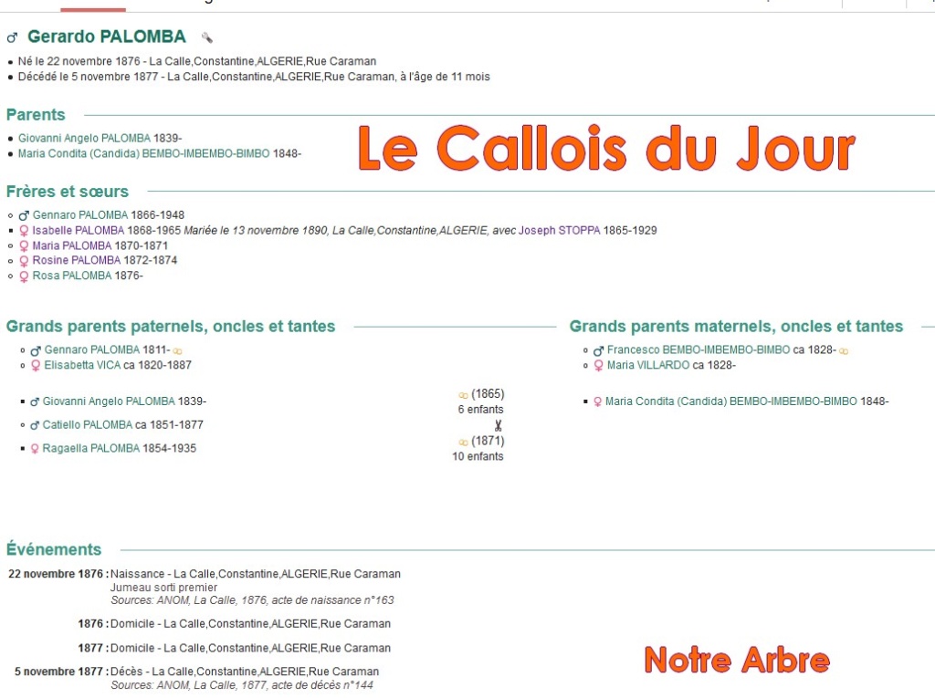 03 NOTRE ARBRE : Callois et Calloises mis à l'honneur en MARS Cdj-d180