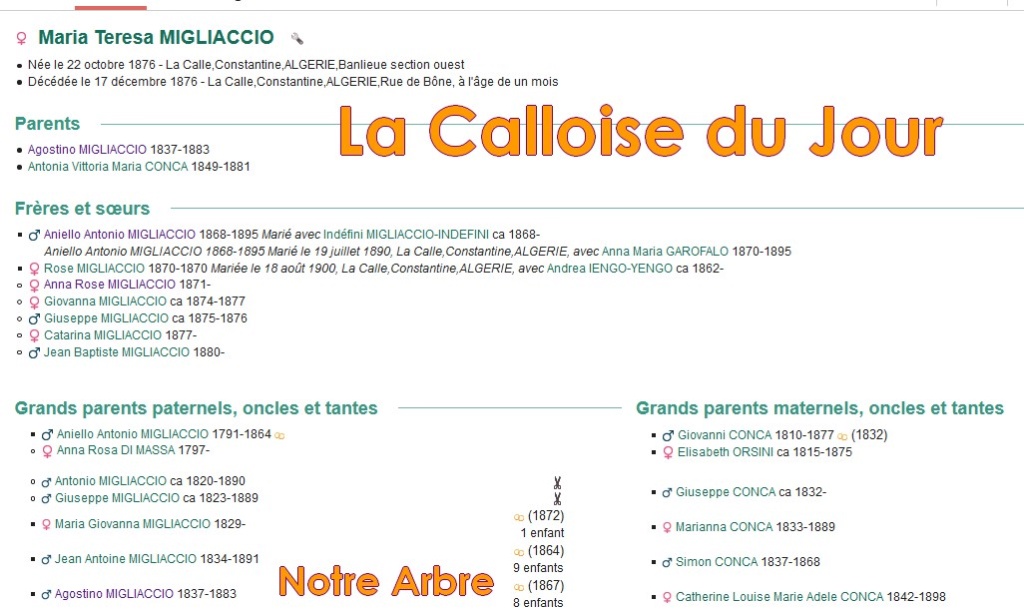 04 NOTRE ARBRE : Callois et Calloises mis à l'honneur en AVRIL - Page 2 Cdj-d182