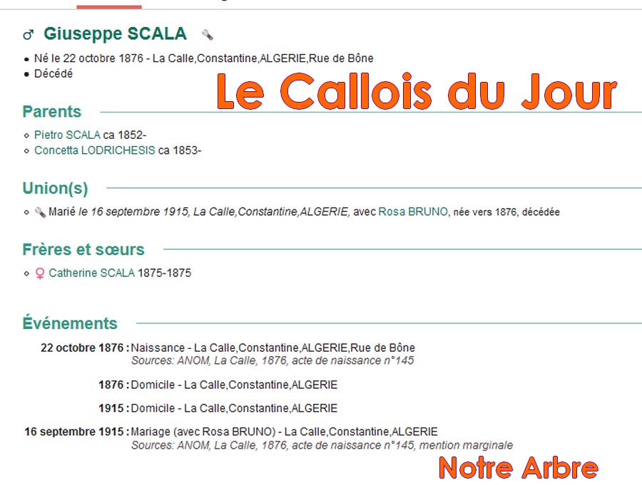 04 NOTRE ARBRE : Callois et Calloises mis à l'honneur en AVRIL - Page 2 Cdj-d183