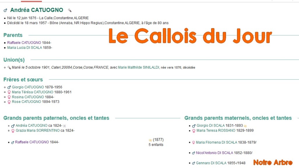 04 NOTRE ARBRE : Callois et Calloises mis à l'honneur en AVRIL Cdj-d200