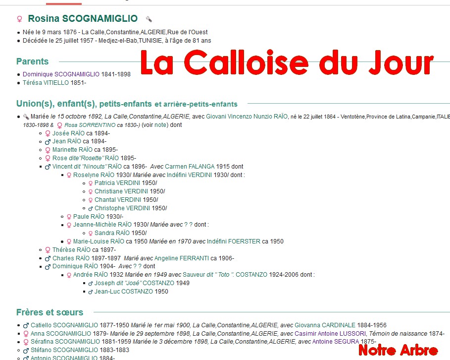 04 NOTRE ARBRE : Callois et Calloises mis à l'honneur en AVRIL Cdj-d206