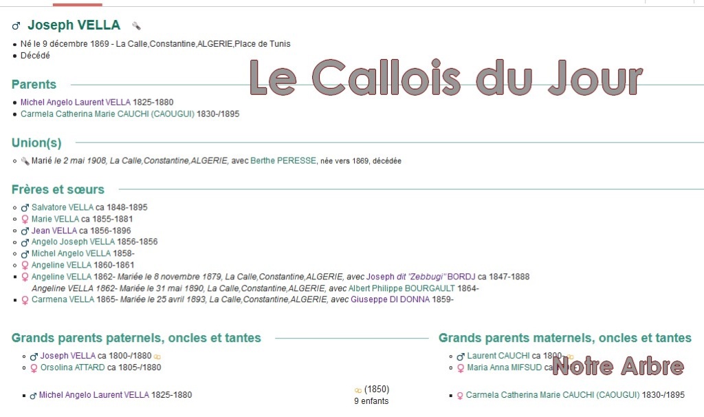 05 NOTRE ARBRE : Callois et Calloises mis à l'honneur en MAI - Page 2 Cdj-d212