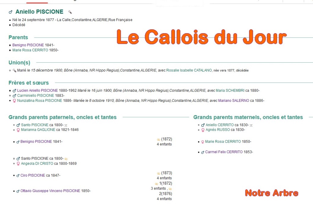 05 NOTRE ARBRE : Callois et Calloises mis à l'honneur en MAI Cdj-d232