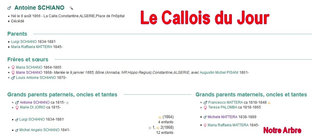 09 NOTRE ARBRE : Callois et Calloises mis à l'honneur en SEPTEMBRE Cdj-du26