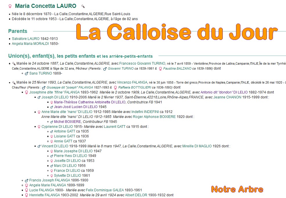 10 NOTRE ARBRE : Callois et Calloises mis à l'honneur en OCTOBRE - Page 2 Cdj-du33