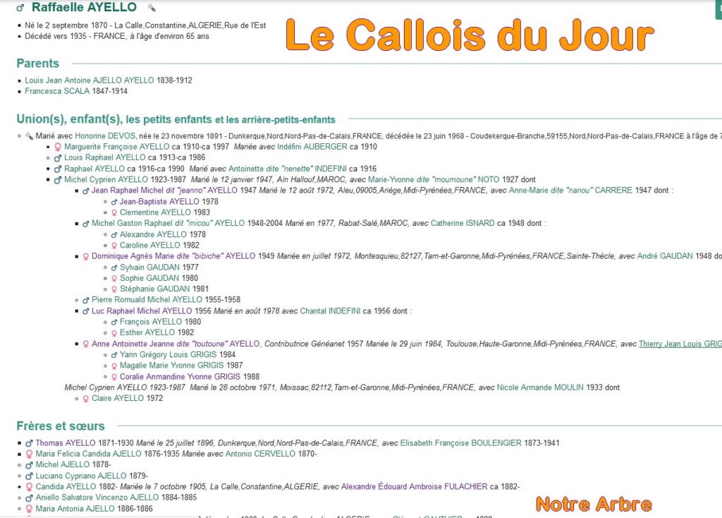 10 NOTRE ARBRE : Callois et Calloises mis à l'honneur en OCTOBRE Cdj-du41