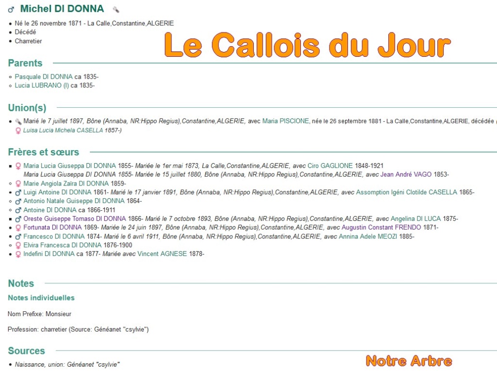 10 NOTRE ARBRE : Callois et Calloises mis à l'honneur en OCTOBRE Cdj-du49