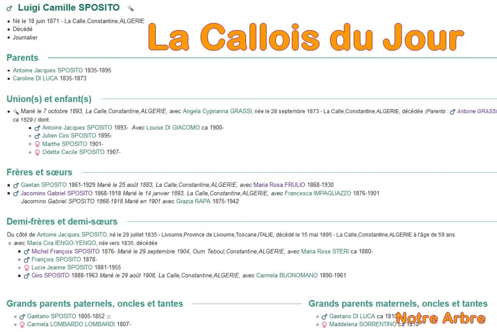 11 NOTRE ARBRE : Callois et Calloises mis à l'honneur en NOVEMBRE - Page 2 Cdj-du59