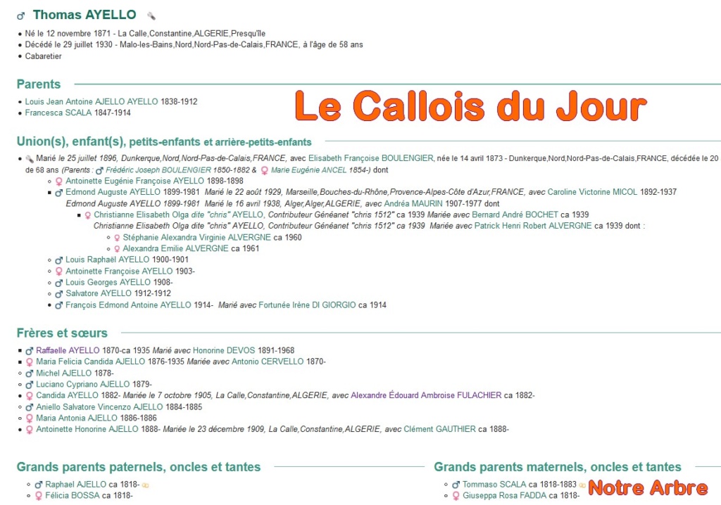 11 NOTRE ARBRE : Callois et Calloises mis à l'honneur en NOVEMBRE - Page 2 Cdj-du69