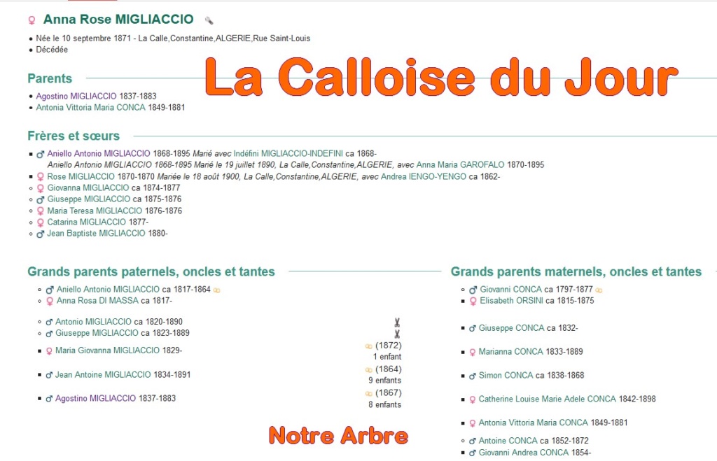 11 NOTRE ARBRE : Callois et Calloises mis à l'honneur en NOVEMBRE - Page 2 Cdj-du71