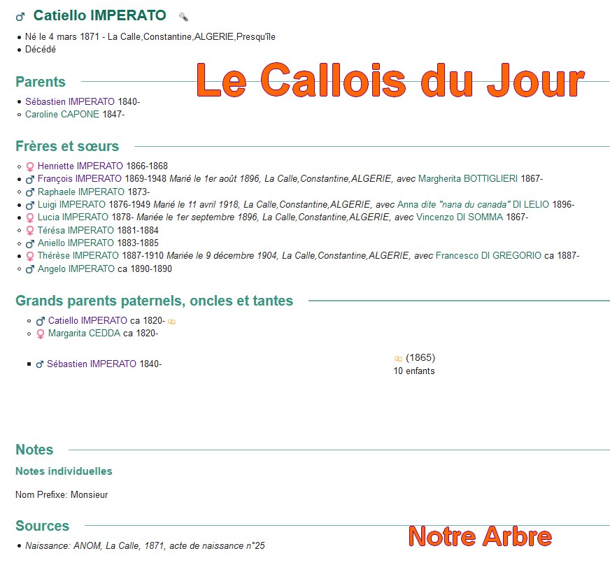 11 NOTRE ARBRE : Callois et Calloises mis à l'honneur en NOVEMBRE Cdj-du78