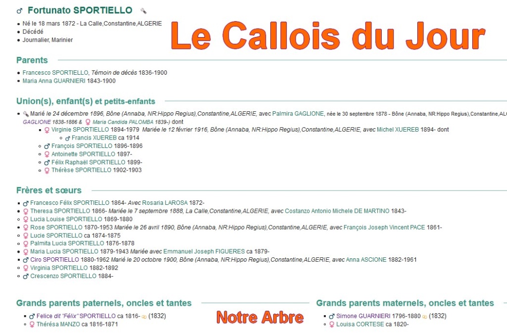 12 NOTRE ARBRE : Callois et Calloises mis à l'honneur en DECEMBRE - Page 2 Cdj-du84