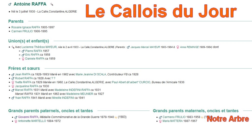 12 NOTRE ARBRE : Callois et Calloises mis à l'honneur en DECEMBRE - Page 3 Cdj-du85