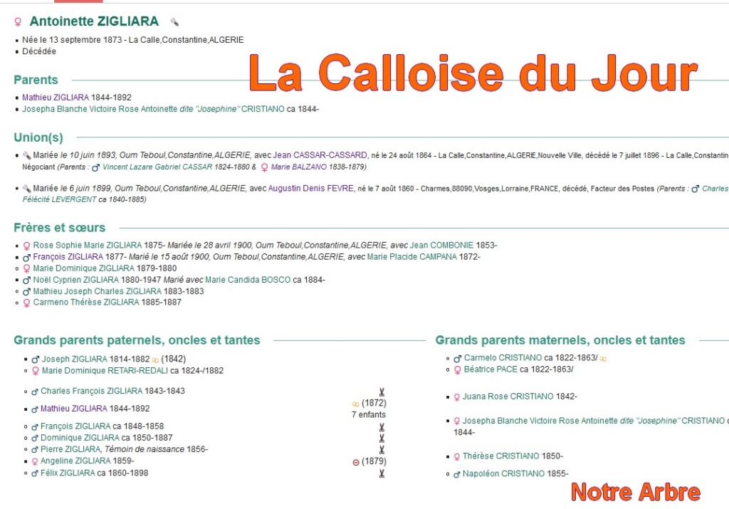 12 NOTRE ARBRE : Callois et Calloises mis à l'honneur en DECEMBRE - Page 2 Cdj-du99