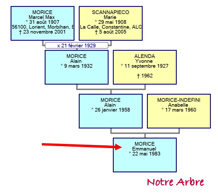 05 NOTRE ARBRE : Naissances en MAI Morice10