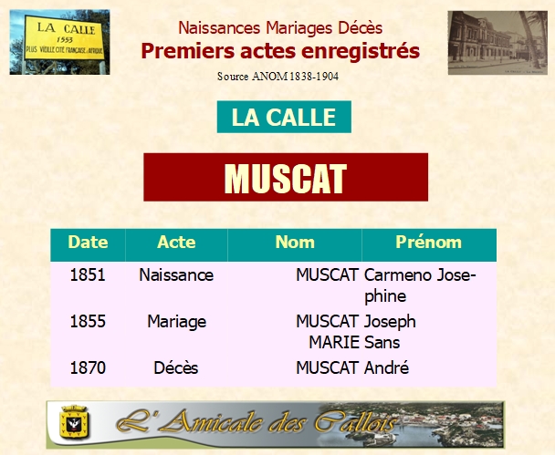 Famille MUSCAT Muscat16