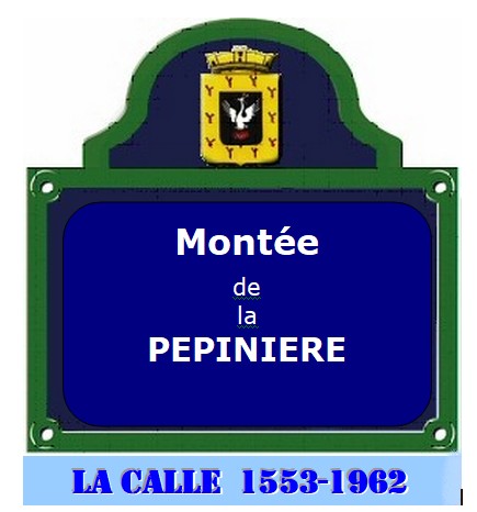 Route de la PEPINIERE : Opération recensement Xp_rou10
