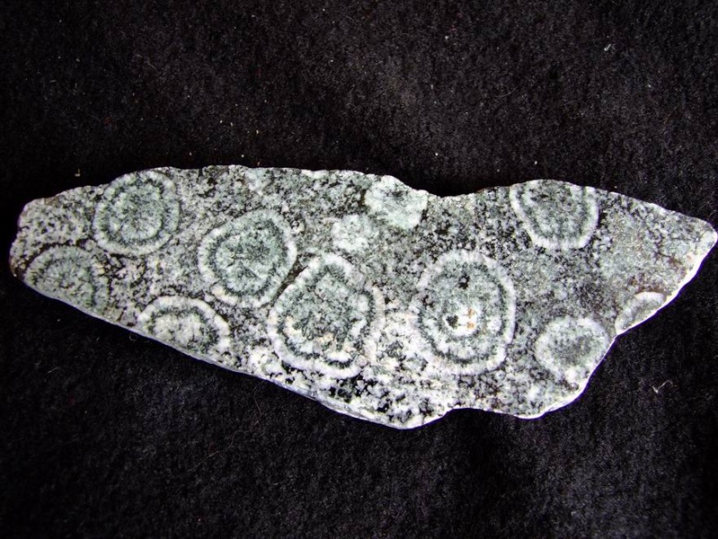 Diorite Orbiculaire -Sainte Lucie de Tallano, Corse - France
