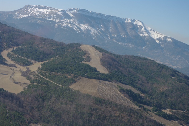 Vol en montagne, Faucon Imgp0223