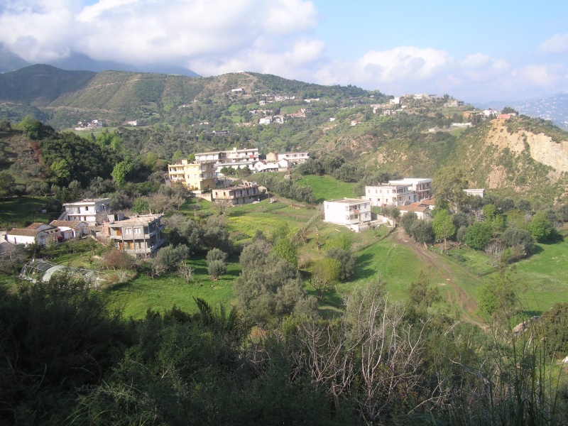 Souk El Tenine et ses villages P1010014